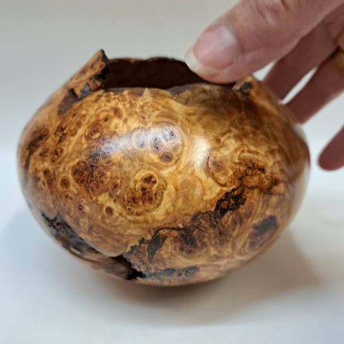 Click to view detail for JW-255 Colorado Aspen Burl Hollow Woodturning $175